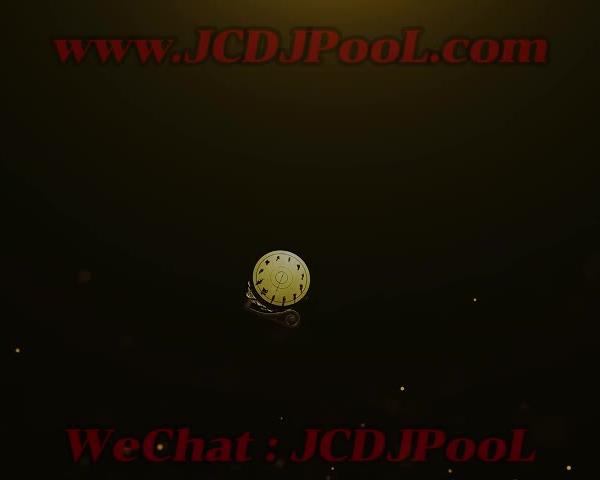 蛇年十二兽开场