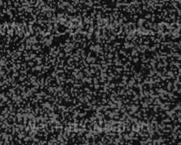 万圣节D25 暗黑毛刺开场