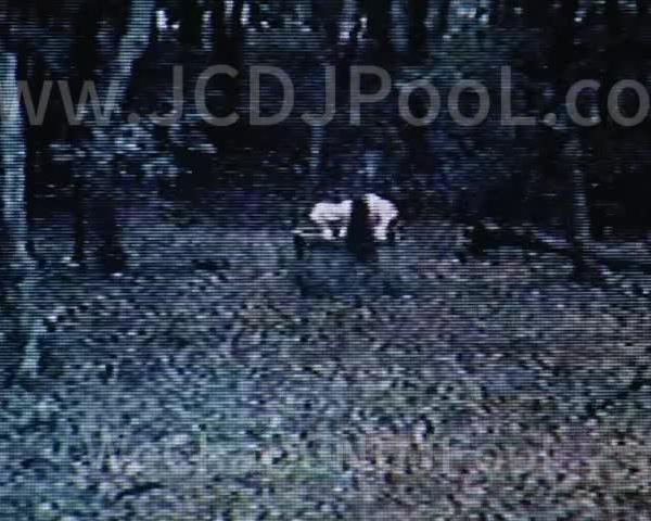 万圣节D26 恐怖电影开场