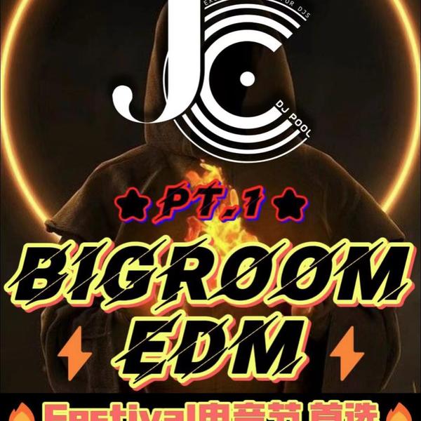 #BigRoom·EDM Remix精选90songs ⭐Pt.1⭐ 电音节首选