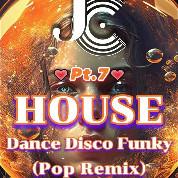 #House·Dance(Pop Remix) Pt.7 高质量精选 71songs