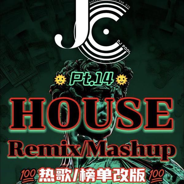 #House Remix Mashup Pt.14 榜单/热歌改版 精选100songs