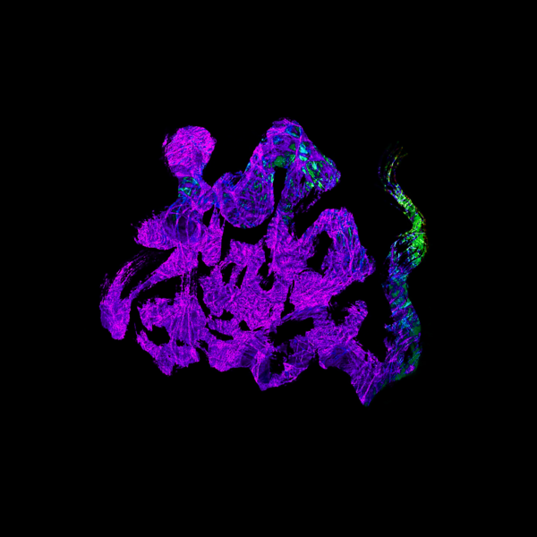 #極# Bsk顶级私人定制套曲 Pack.2 附串烧