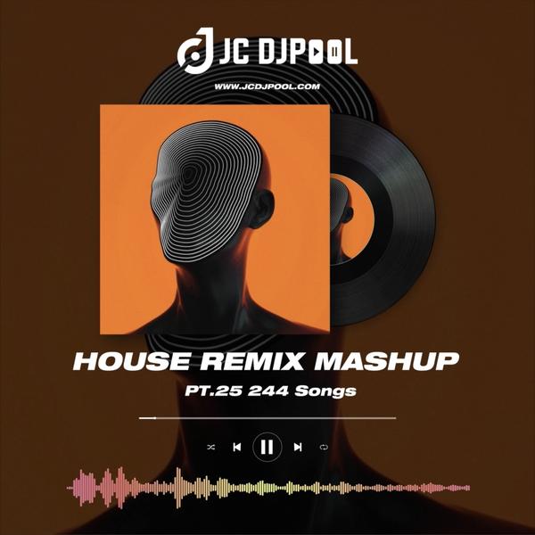 #House Remix Mashup Pt.25 榜单热歌改版 精选244songs