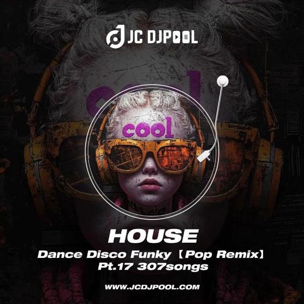 #House Dance Disco Funky Pt.17 精选 307songs