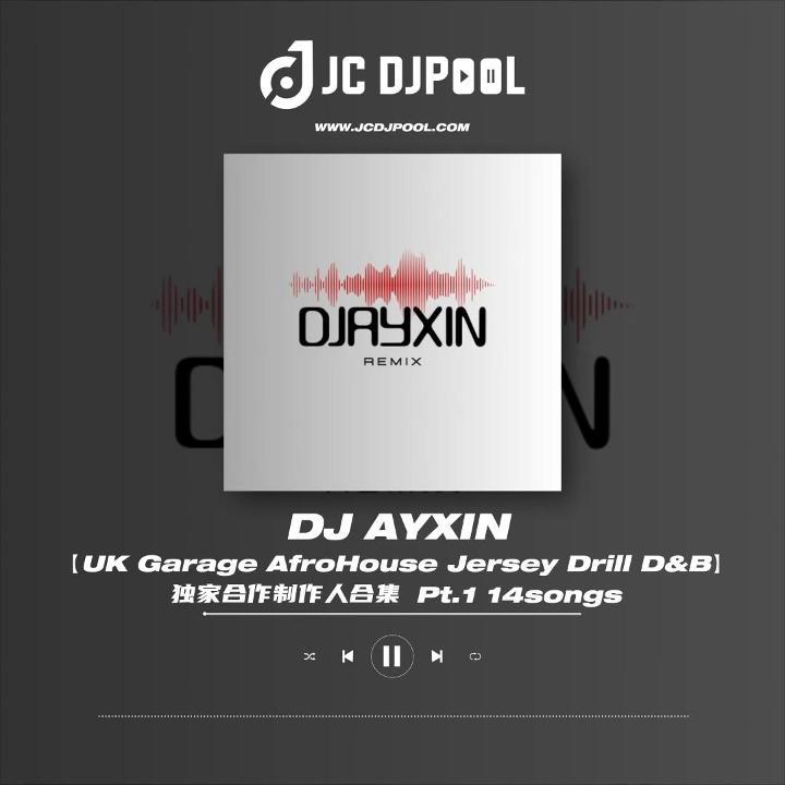 #独家合作制作人AYXIN 精选Remix 14songs 适用跳舞俱乐部/小厅