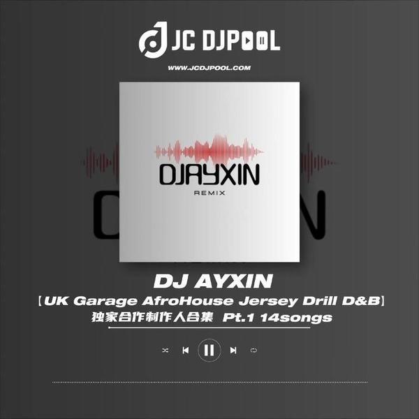#独家合作制作人AYXIN 精选Remix 14songs 适用跳舞俱乐部/小厅
