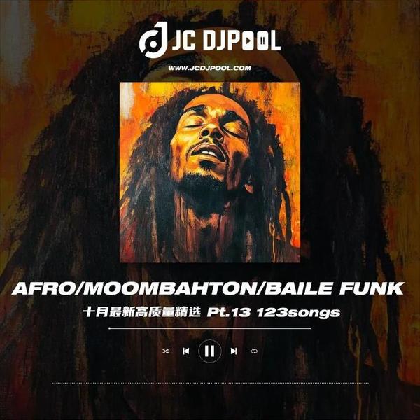 #Afro·Moombahton·Baile Funk Remix Pt.13 精选123songs 试听