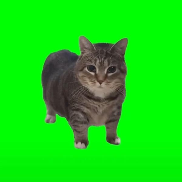 oiia猫 - Oiiaioooooiai (艾肯AKEN Bootleg)