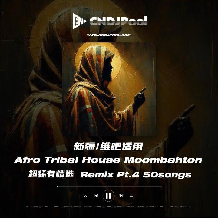 #新疆维吧适用 超稀有单曲Afro Tribal House Moombahton Pt.4 精选 50songs