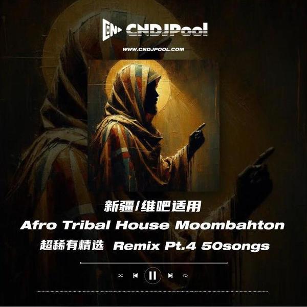 #新疆维吧适用 超稀有单曲Afro Tribal House Moombahton Pt.4 精选 50songs