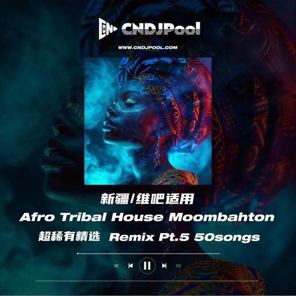 #新疆维吧适用 超稀有单曲Afro Tribal House Moombahton Pt.5 精选 50songs