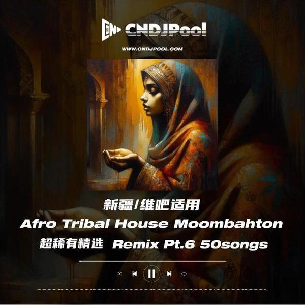 #新疆维吧适用 超稀有单曲Afro Tribal House Moombahton Pt.6 精选 50songs