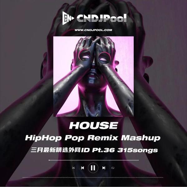 #House Remix Mashup Pt.36 三月最新整理外网ID 精选315songs