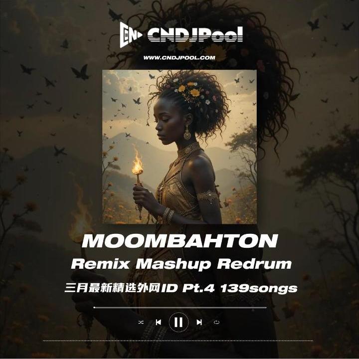 #Moombahton Remix Mashup 3月最新外网私改ID Pt.4 精选139songs