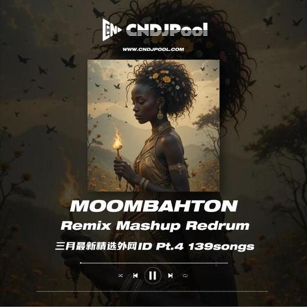 #Moombahton Remix Mashup 3月最新外网私改ID Pt.4 精选139songs