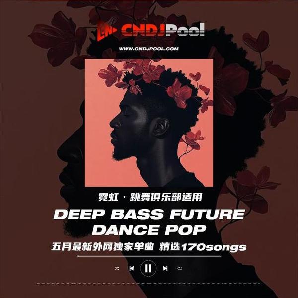 #五月最新霓虹适用 Deep Bass Future Dance Pop 外网独家单曲 精选170songs