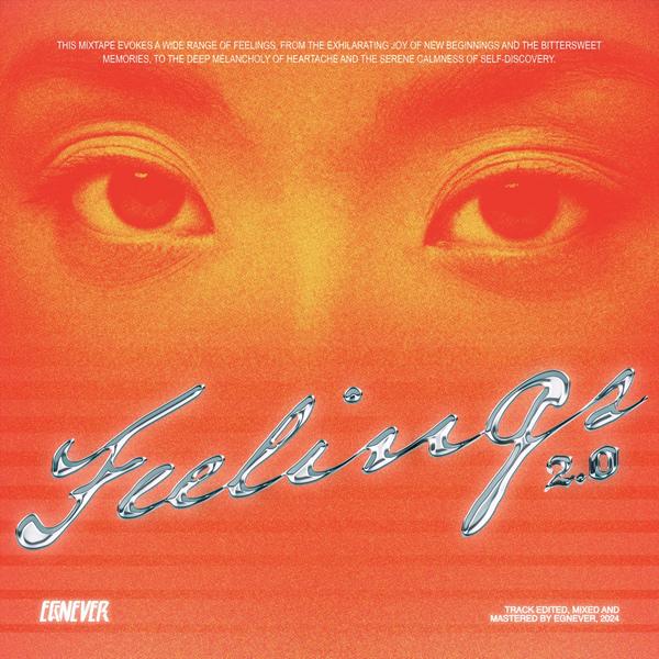 #付费专辑7.5$美金 EGNEVER - FEELINGS VOL.02