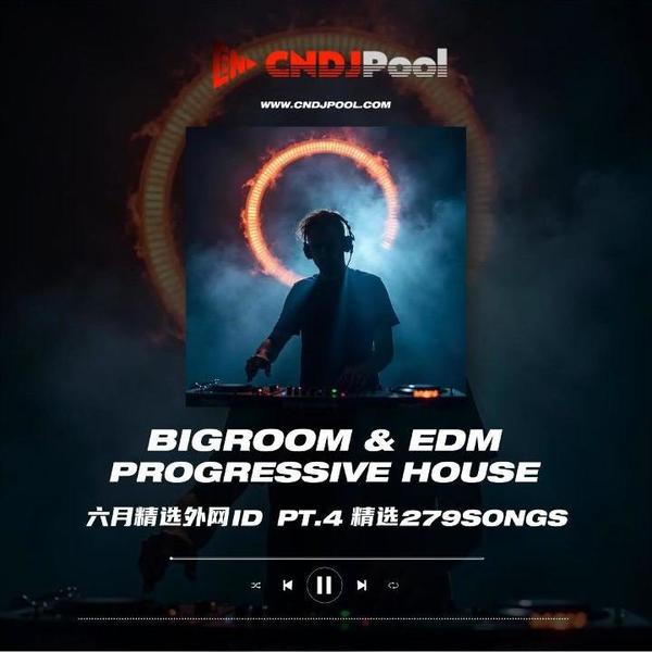 试听#BigRoom & Electronic & Progressive House 中英文抖音热歌私改 128-142 精选279songs