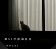 第57次取消发送 - 菲菲公主(GFOOK BootlegMix)