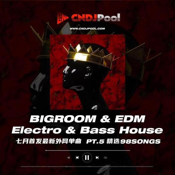 #BigRoom EDM Electro Bass House Pt.4 精选98songs