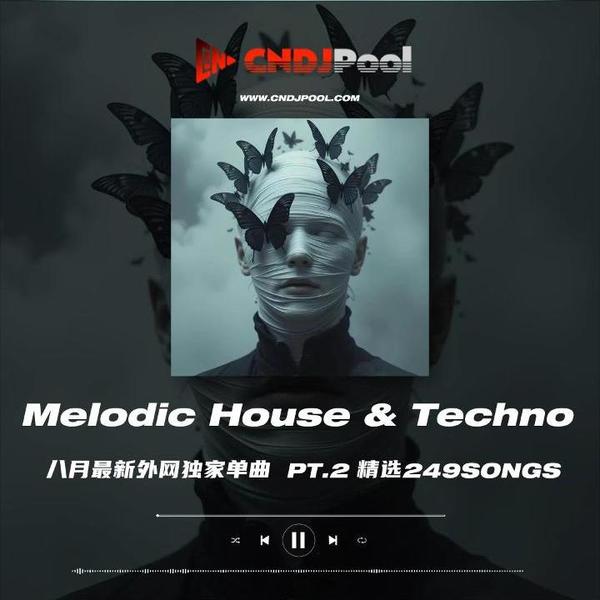 #Melodic House & Techno Remix Pt.2 精选249songs