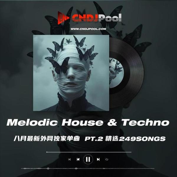 试听#Melodic House & Techno Remix Pt.2 精选249songs