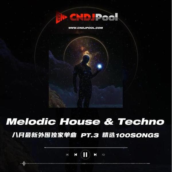 #Melodic House & Techno Remix Pt.3 精选100songs