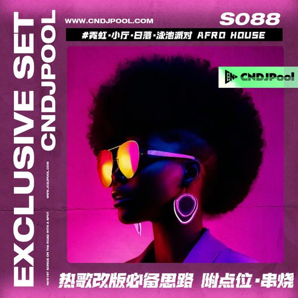 S088#霓虹·小厅·日落·泳池派对 Afro House 热歌改版必备思路 附点位·串烧