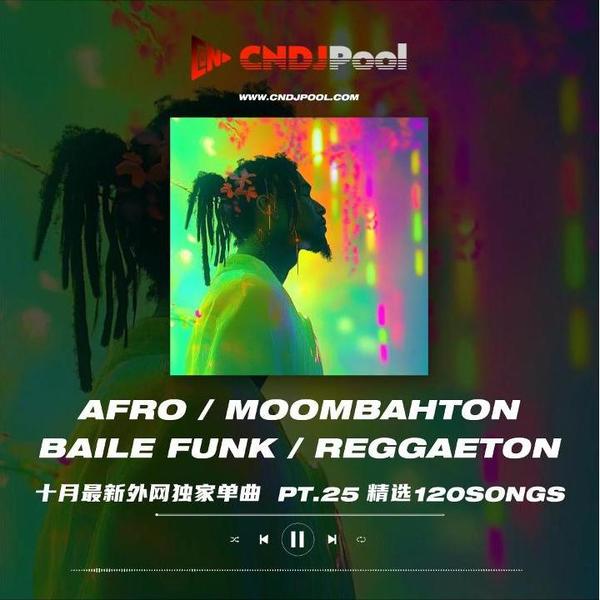 #Afro·Latin·Moombahton·BaileFunk Remix Pt.25 十月最新外网单曲精选120songs
