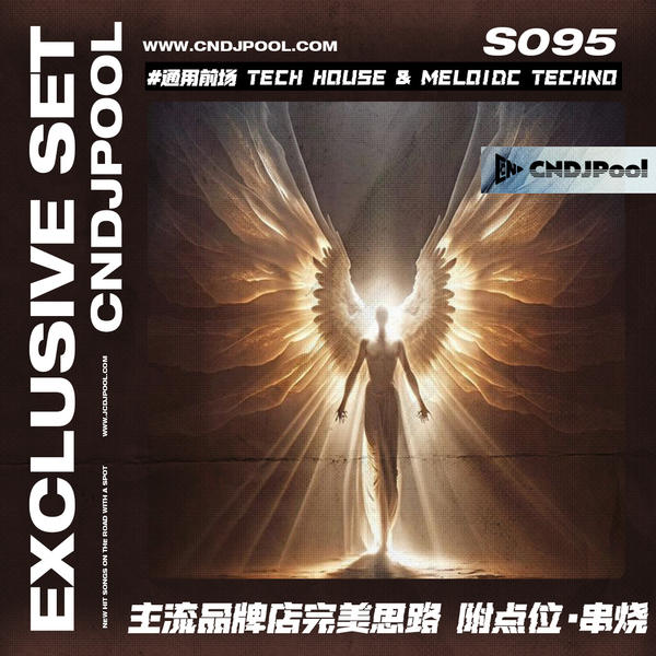 S095#通用前场 Tech House & Meloidc Techno 124-128榜单ID 主流品牌店完美思路 附点位·串烧