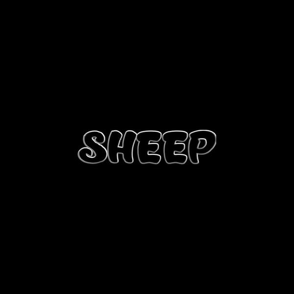 广东烂仔Zaage炸鸡 - 爱情的索嗨( SHEEP Bootleg)