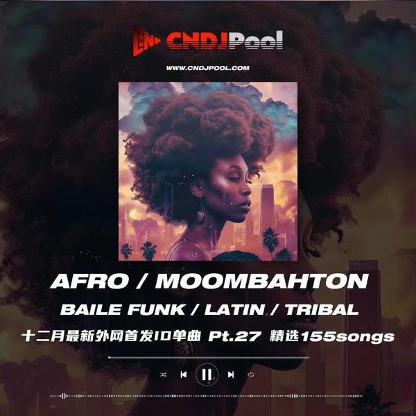 #Afro·Latin·Moombahton·BaileFunk Remix Pt.27 十二月最新外网单曲精选155songs