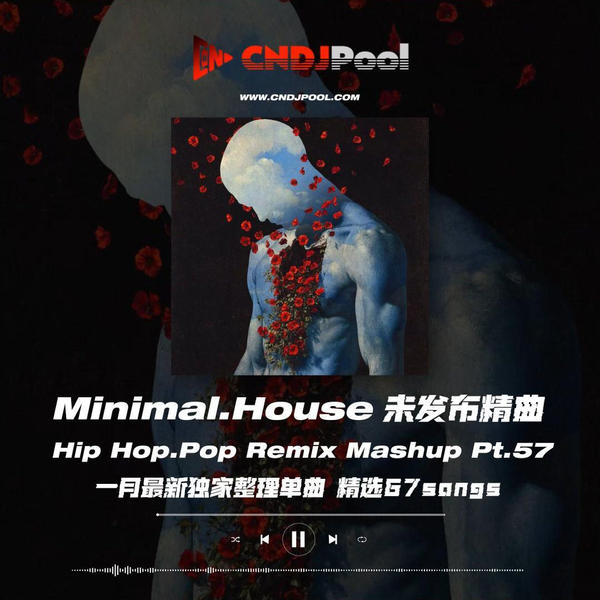 #Minimal.House未发布精曲 Hip Hop.Pop Remix Mashup Pt.57 一月最新独家整理单曲 精选67songs