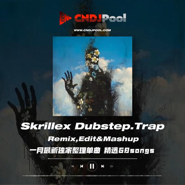 #Skrillex Dubstep.Trap Remix,Edit&Mashup 一月最新独家整理单曲 精选68songs