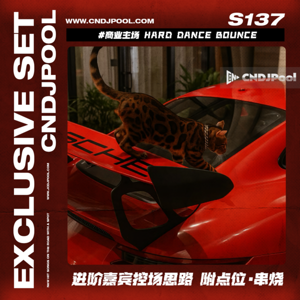 S137 #商业主场 Hard Dance Bounce 进阶嘉宾控场思路 附点位·串烧