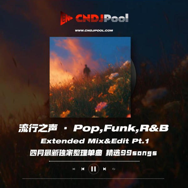 #流行之声 · Pop,Funk,R&B Extended Mix&Edit Pt.1 四月最新独家整理单曲 精选99songs
