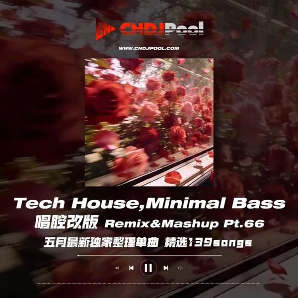 #Tech House,Minimal Bass 唱腔改版 Remix&Mashup Pt.66 五月最新独家整理单曲 精选139songs