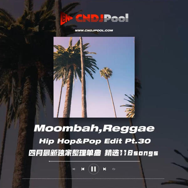 #Moombah,Reggae Hip Hop&Pop Edit Pt.30 四月最新独家整理单曲 精选118songs