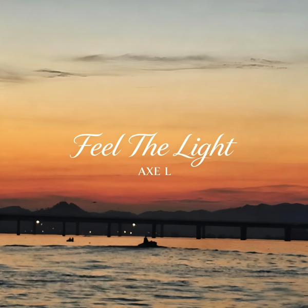 Feel The Light