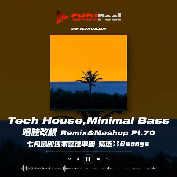 Lady Gaga - Just Dance (Denero Remix)