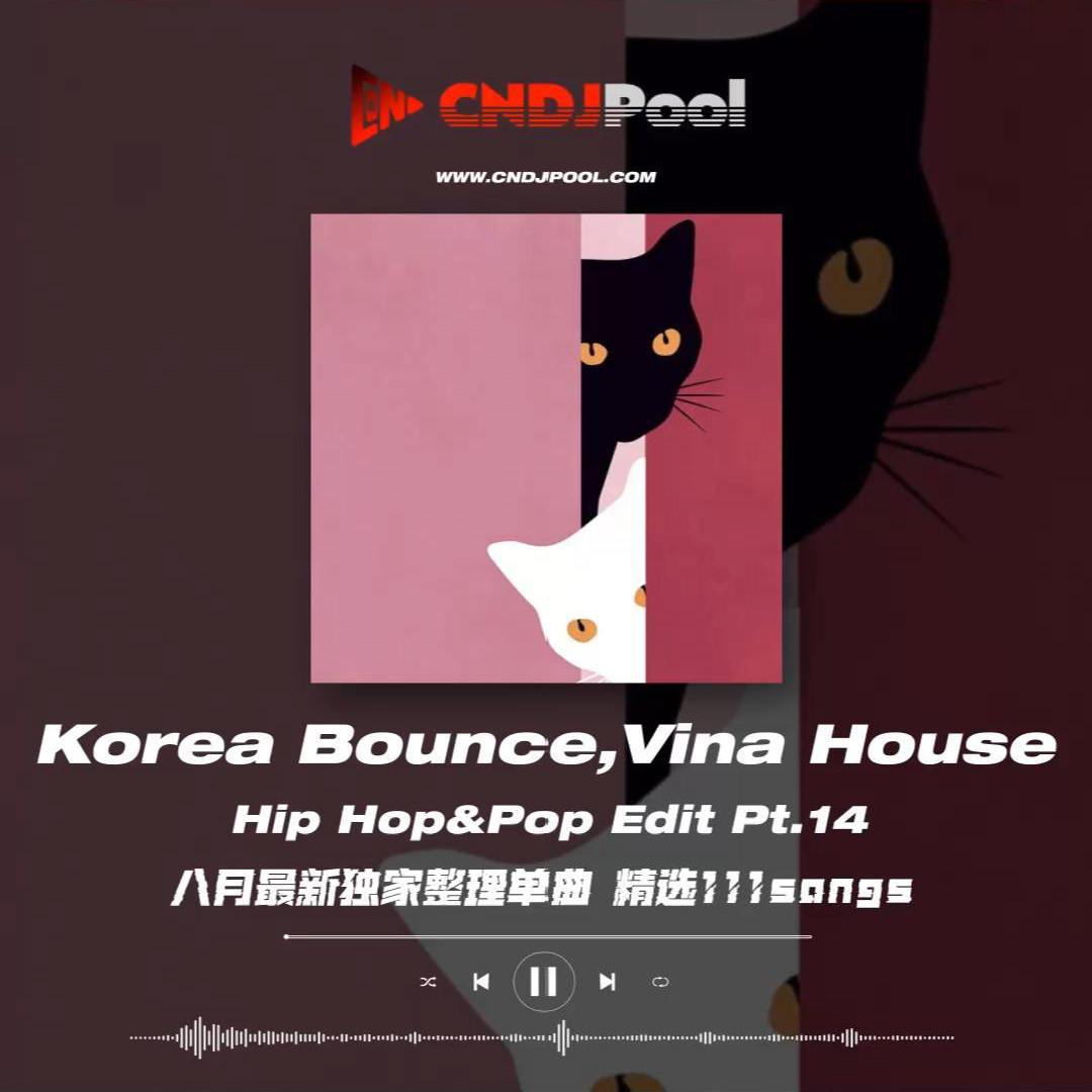 #Korea Bounce,Vina House Hip Hop&Pop Edit Pt.14 八月最新独家整理单曲 精选111songs