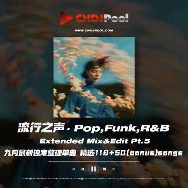 试听#Pop,Funk,R&B Extended Mix&Edit Pt.5 九月最新独家整理单曲 精选118+50(bonus)songs