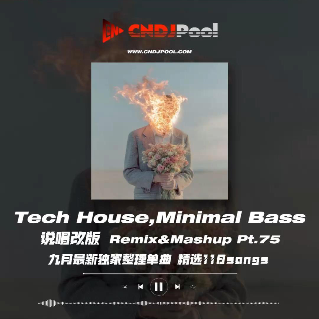 #Tech House,Minimal Bass 说唱改版 Remix&Mashup Pt.75 九月最新独家整理单曲 精选118songs