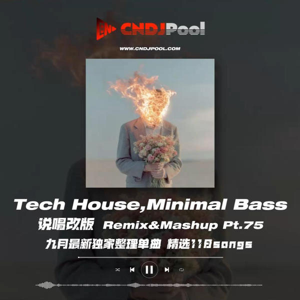#Tech House,Minimal Bass 说唱改版 Remix&Mashup Pt.75 九月最新独家整理单曲 精选118songs