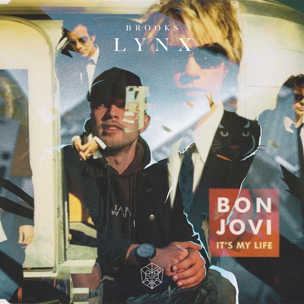 It‘s My Life x Lynx(TREDECIM Mashup)