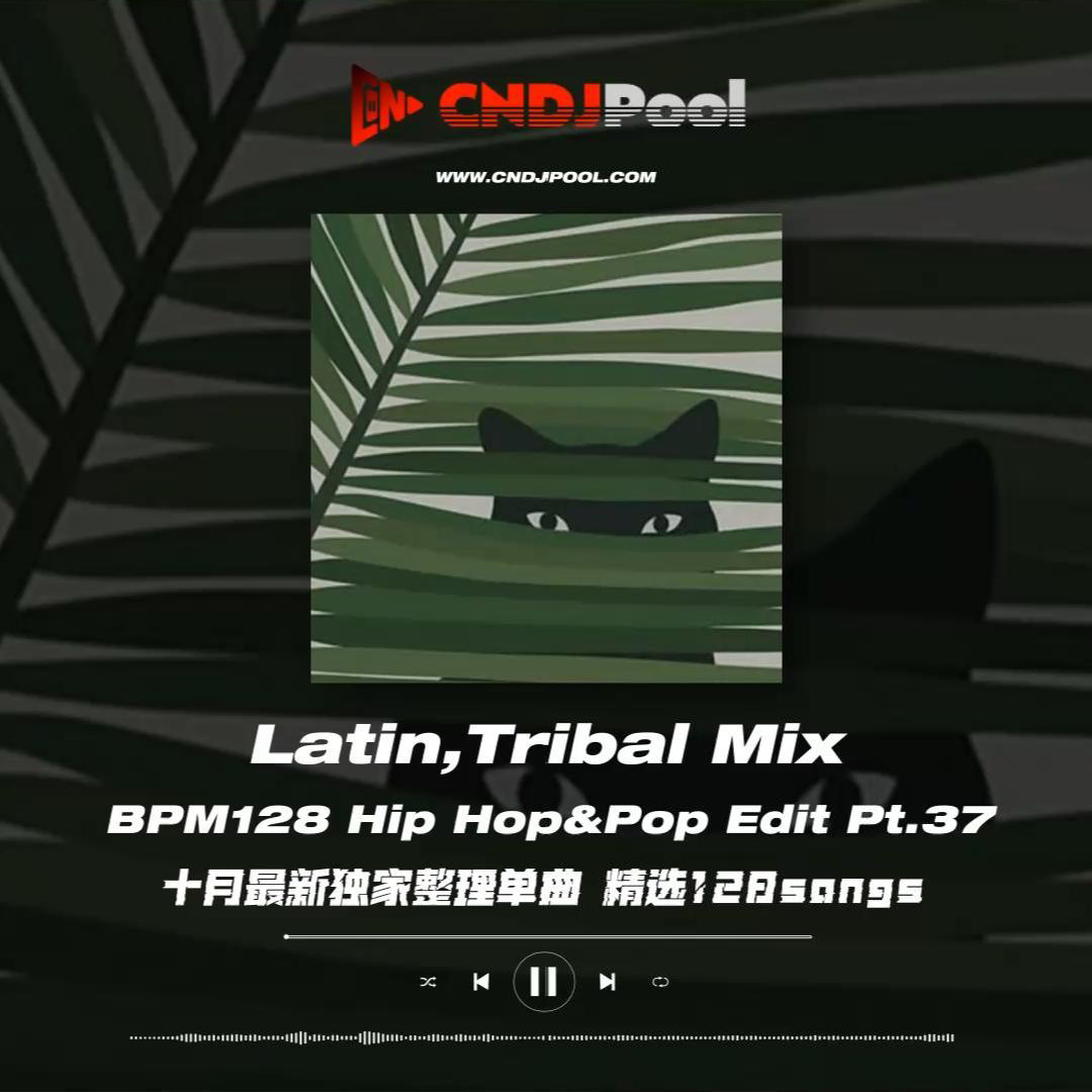 #Latin,Tribal Mix BPM128 Hip Hop&Pop Edit Pt.37 十月最新独家整理单曲 精选128songs